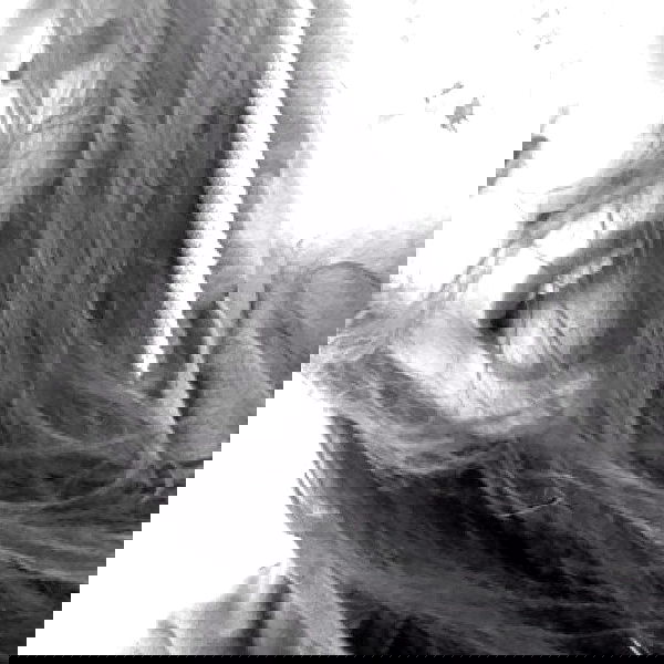 vanessa.julienne image ~ Altpins