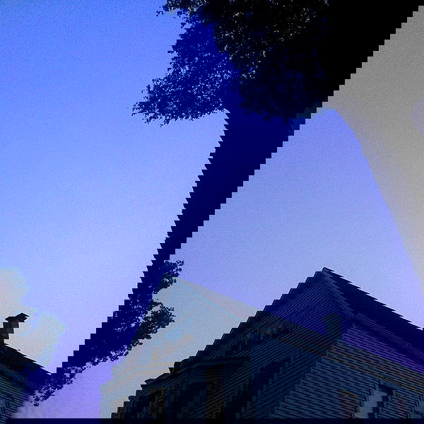 vanessa.julienne image ~ Altpins