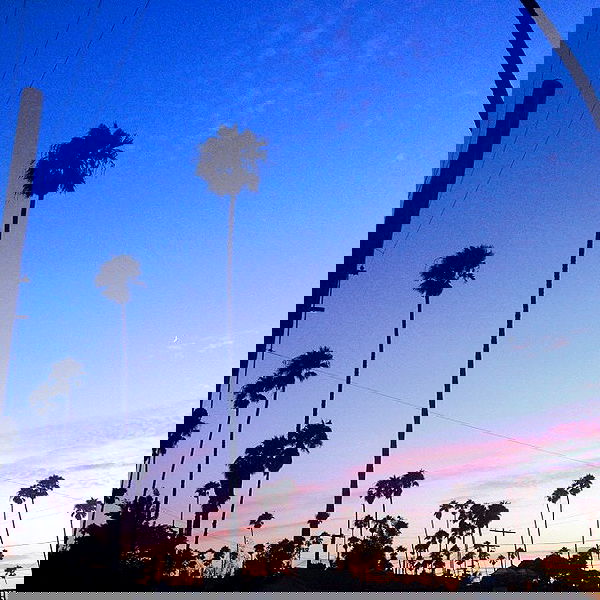 vanessa.julienne image ~ Altpins