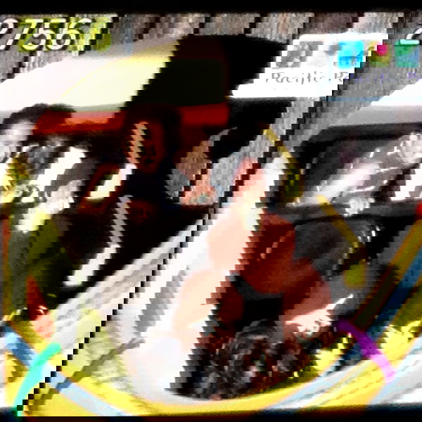 vanessa.julienne image ~ Altpins