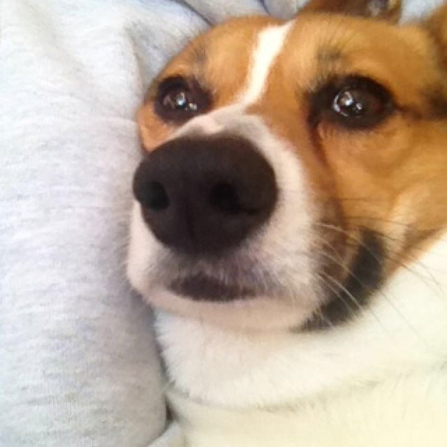 vanessa.julienne instagram image archive image