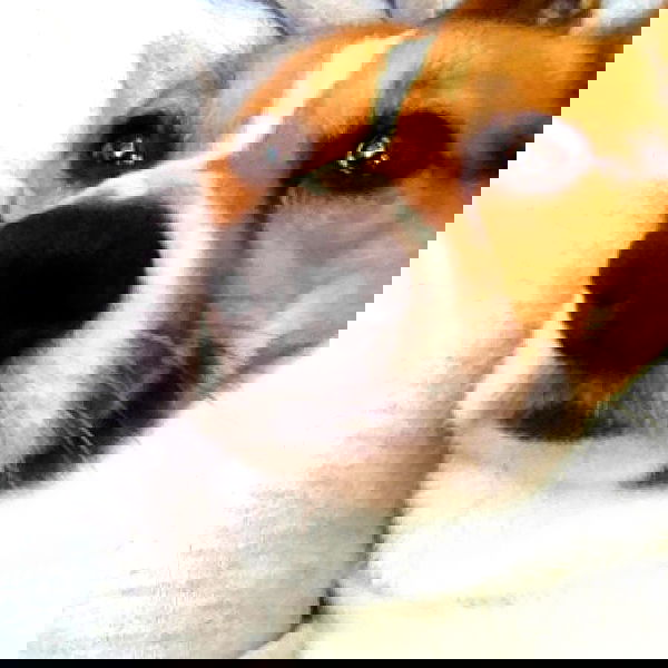 vanessa.julienne image ~ Altpins