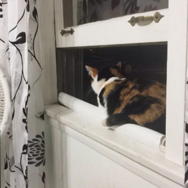 vanessa.julienne instagram image archive image