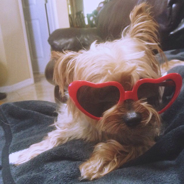 vanessa.julienne instagram image archive image