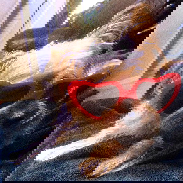 vanessa.julienne image ~ Altpins