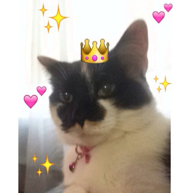 vanessa.julienne instagram image archive image