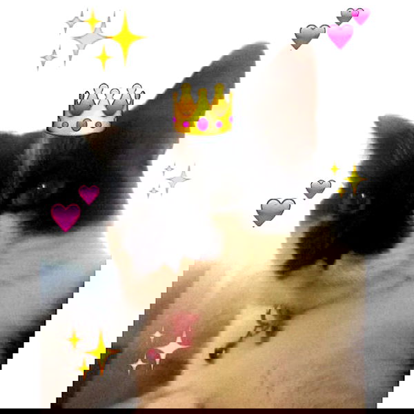 vanessa.julienne image ~ Altpins