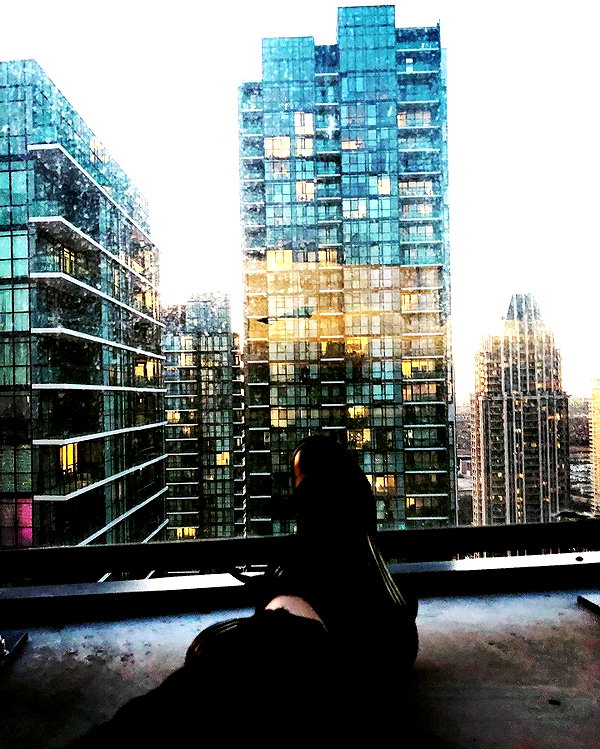 vantabee instagram image archive image
