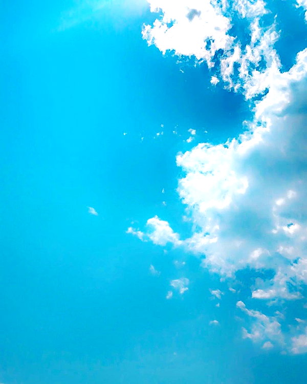 vantabee vantabee archive image
