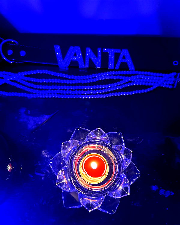 vantabee vantabee archive image