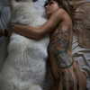 ventura_angels Altpins Profile Picture