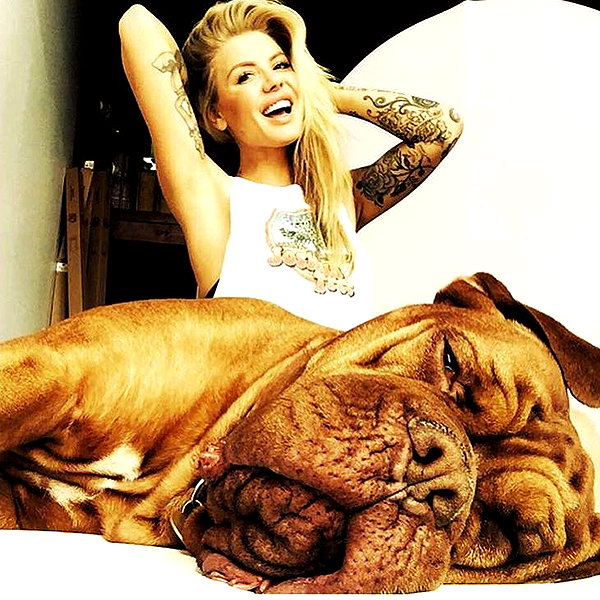 ventura_angels instagram image archive image