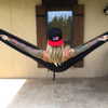 ventura_angels Altpins Profile Picture