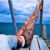 ventura_angels Altpins Profile Picture