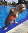 ventura_angels Altpins Profile Picture