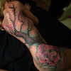 ventura_angels Altpins Profile Picture