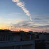 vicdeangelis Altpins Profile Picture