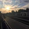 vicdeangelis Altpins Profile Picture