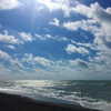 vicdeangelis Altpins Profile Picture