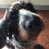 vicdeangelis Altpins Profile Picture