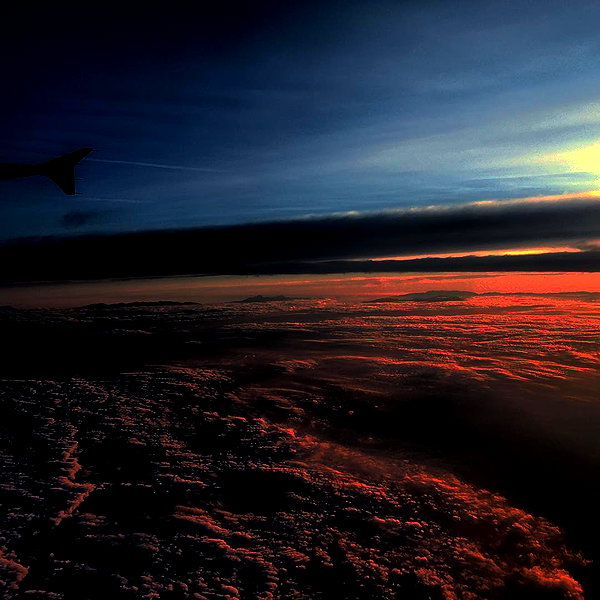 vicdeangelis instagram image archive image