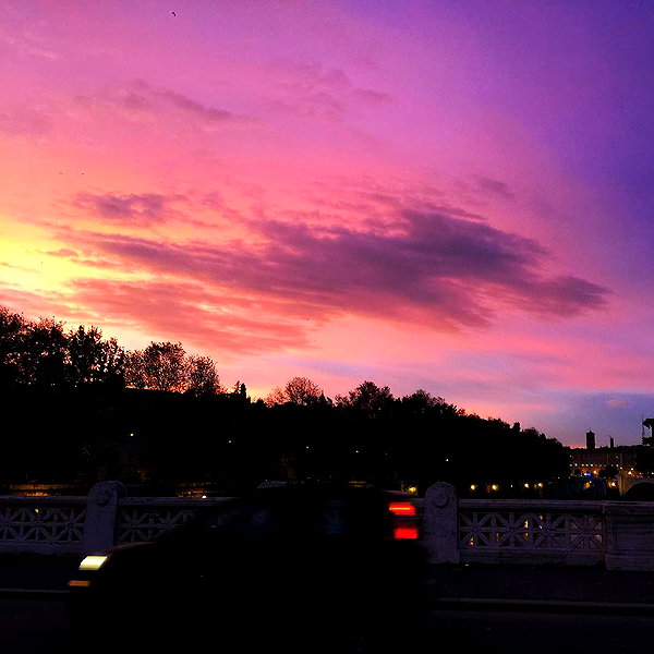 vicdeangelis instagram image archive image