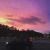 vicdeangelis Altpins Profile Picture