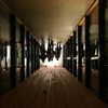 vicdeangelis Altpins Profile Picture