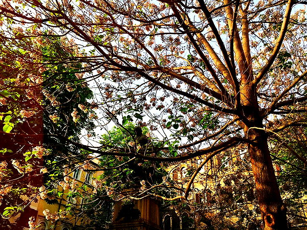 vicdeangelis instagram image archive image