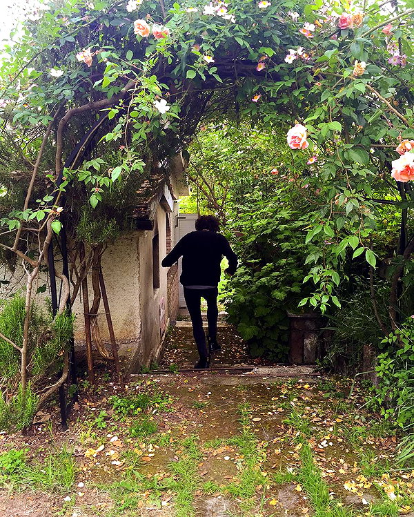 vicdeangelis instagram image archive image