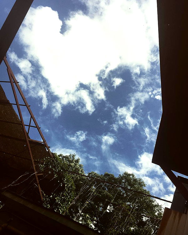 vicdeangelis instagram image archive image