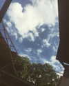 vicdeangelis Altpins Profile Picture