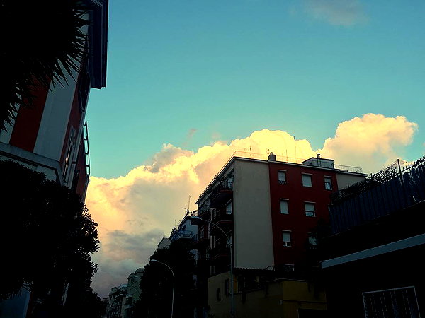 vicdeangelis instagram image archive image