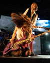 vicdeangelis Altpins Profile Picture