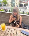 vicdeangelis Altpins Profile Picture