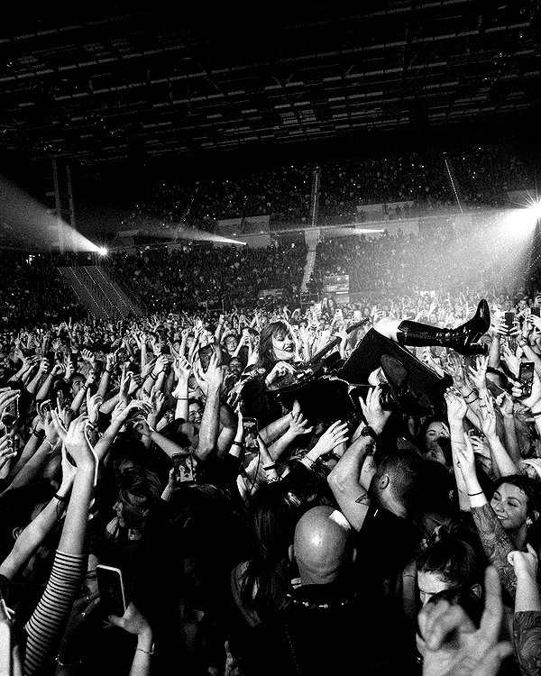 vicdeangelis vicdeangelis archive image