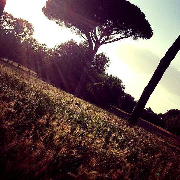 vicdeangelis instagram image archive image