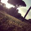 vicdeangelis Altpins Profile Picture