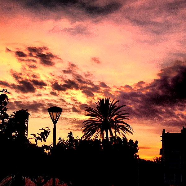 vicdeangelis instagram image archive image