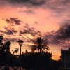 vicdeangelis Altpins Profile Picture