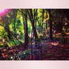 vicdeangelis Altpins Profile Picture
