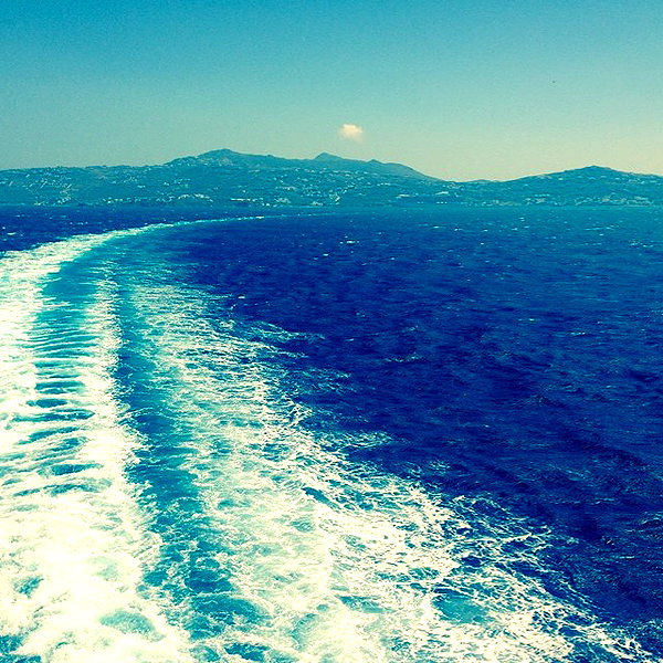 vicdeangelis instagram image archive image