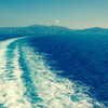 vicdeangelis Altpins Profile Picture