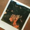 vicdeangelis Altpins Profile Picture
