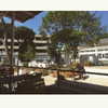 vicdeangelis Altpins Profile Picture