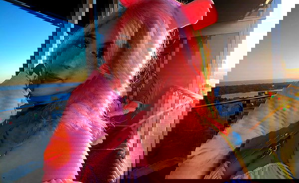 viezery viezery archive image