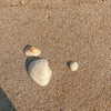 viixxmmii_ Altpins Profile Picture