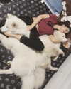 vitacelestine_ Altpins Profile Picture