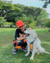 vitacelestine_ Altpins Profile Picture