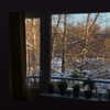 vixenp_ Altpins Profile Picture